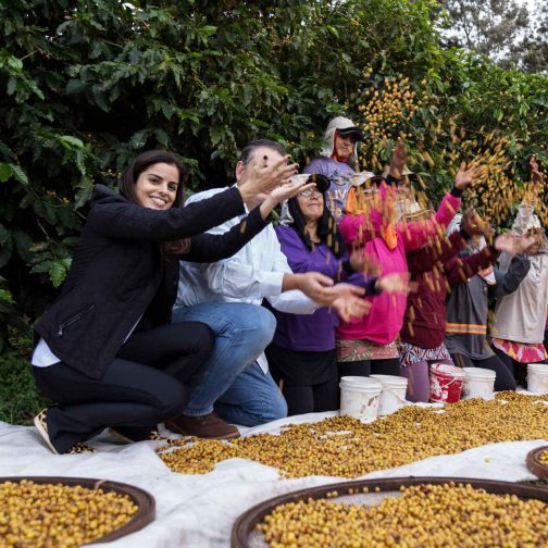 Farma Fazenda California v Brazílii