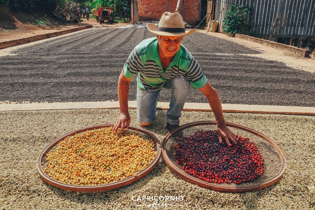Farmár na kávovníkovej plantáži