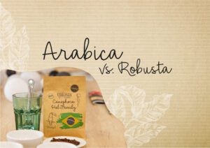 Arabica vs robusta